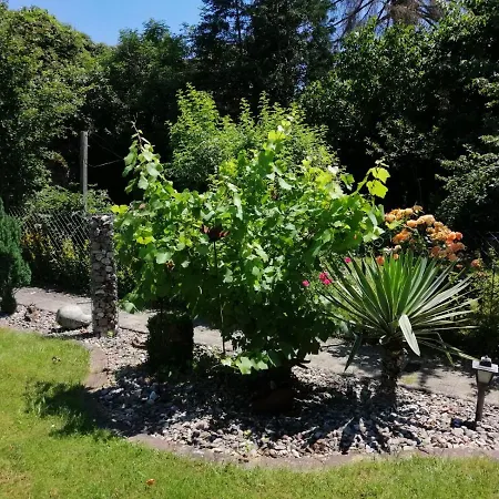 Glori 's * Bad Sooden-Allendorf